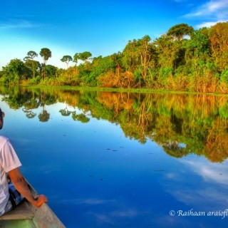 What should I do with my life Amazon Jungle Travel