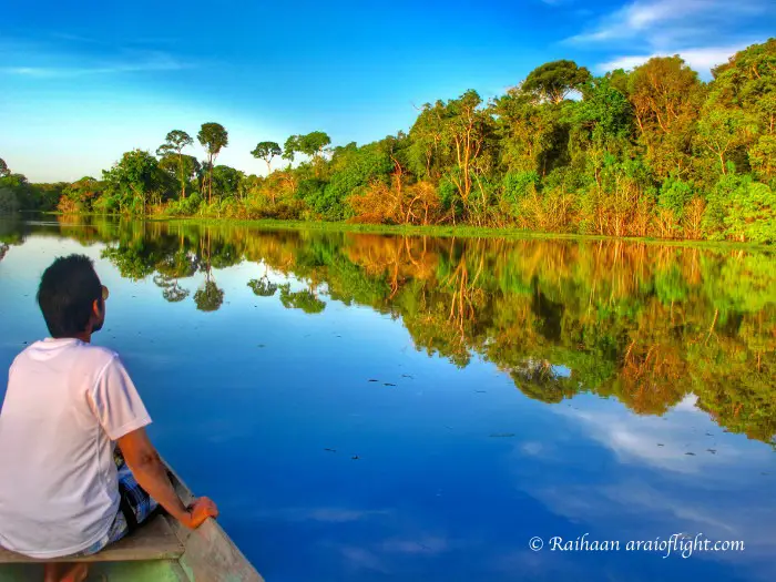 Amazon Jungle Travel Solo No fear No television