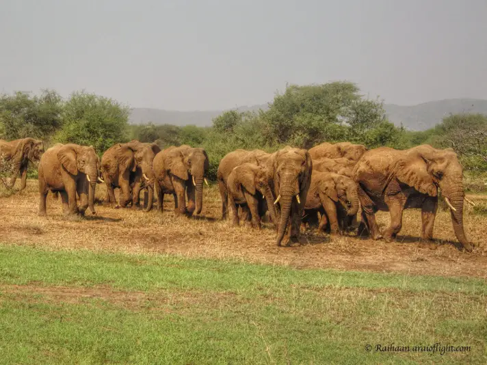 20 Reasons Travel South Africa 4