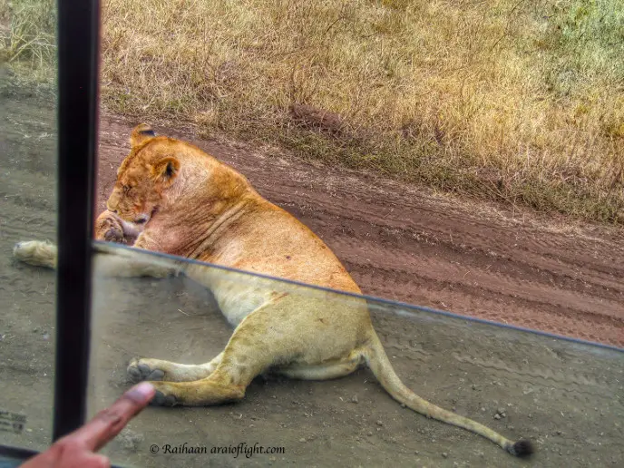 20 Reasons Travel South Africa 6