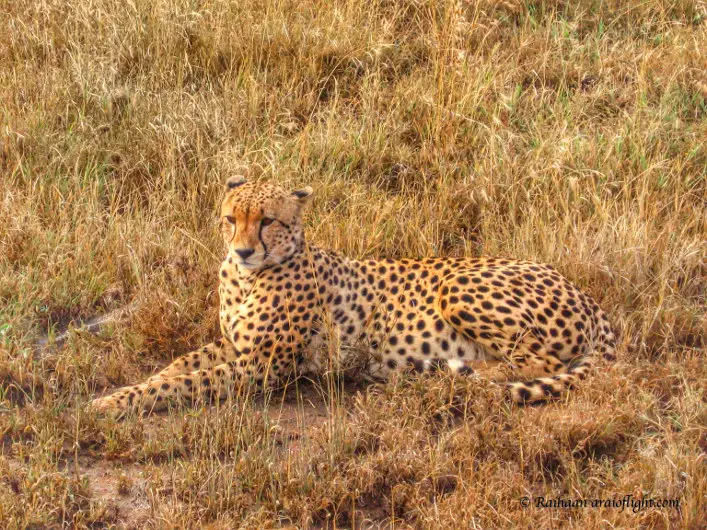 20 Reasons Travel South Africa 8