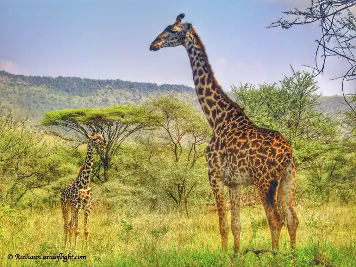 20 Reasons Travel South Africa 9
