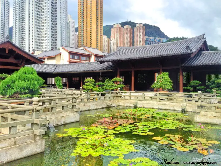 Travel Hong Kong for free