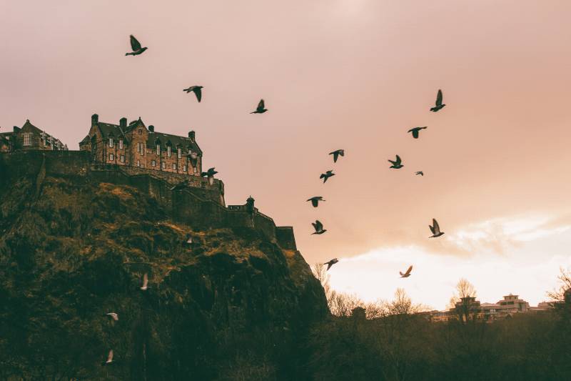 bird watching tour edinburgh