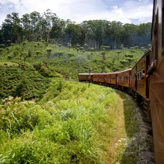 Travel Sri Lanka visa