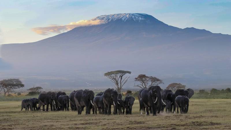 ANSWERED] How Long Does it Take to Climb Mount Kilimanjaro