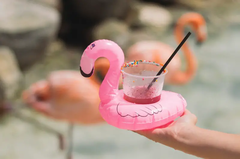 flamingo beach aruba drink