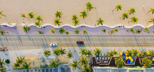 drone beach palm trees instagram caption