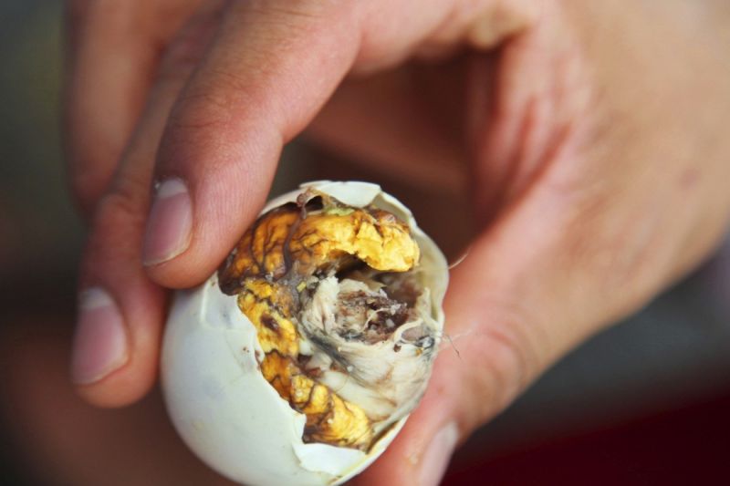 Bird Embryo Balut Egg in Philippines exotic food unusual