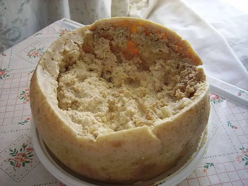 Casu Marzu maggot cheese sardinia strange illegal food