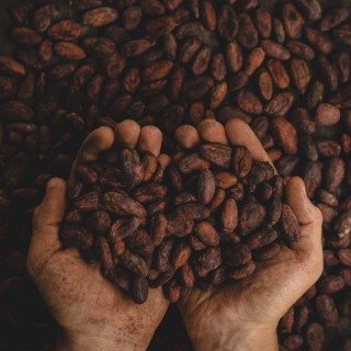 Coffee beans vietnam souvenirs gifts buy