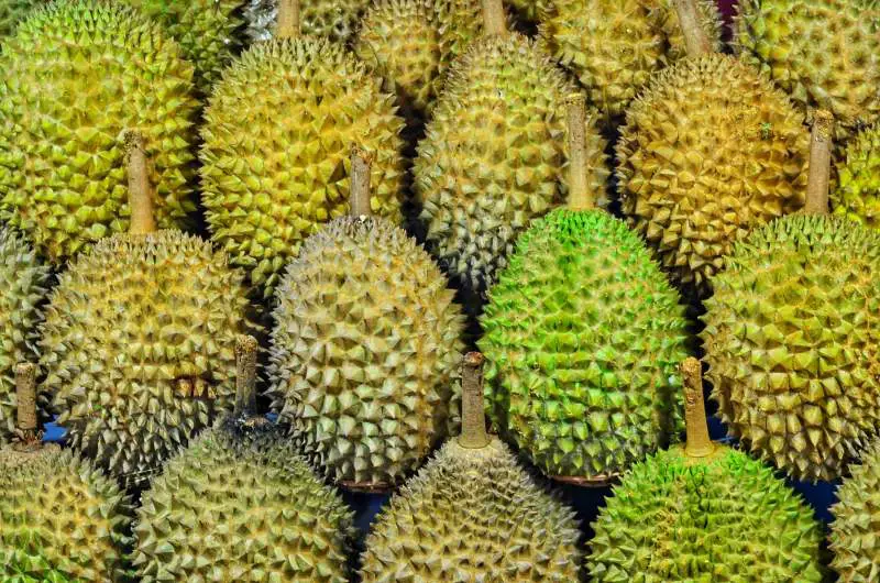 Eating Durian SE Asia market weird food