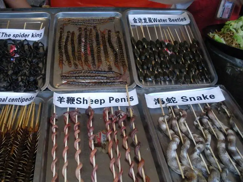 Eating Exotic chinese street food in China