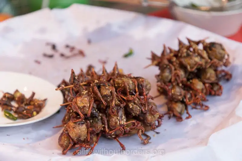 Eating Sour swallows Laos unusual food