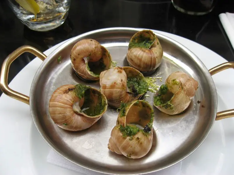 35 Exotic + Weird Foods Around the World | Gross | Strange Food (NOT) To Try