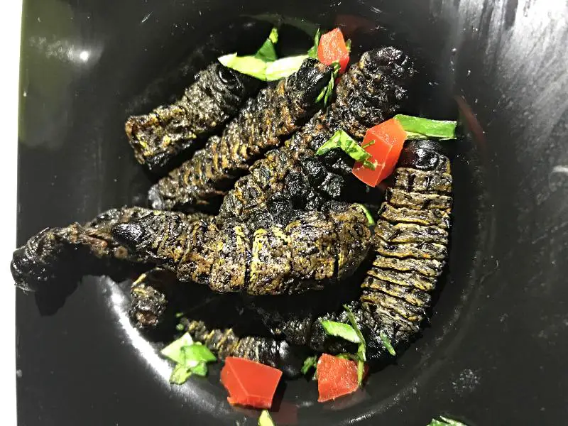 Eating mopane worms plate south Africa weird foods