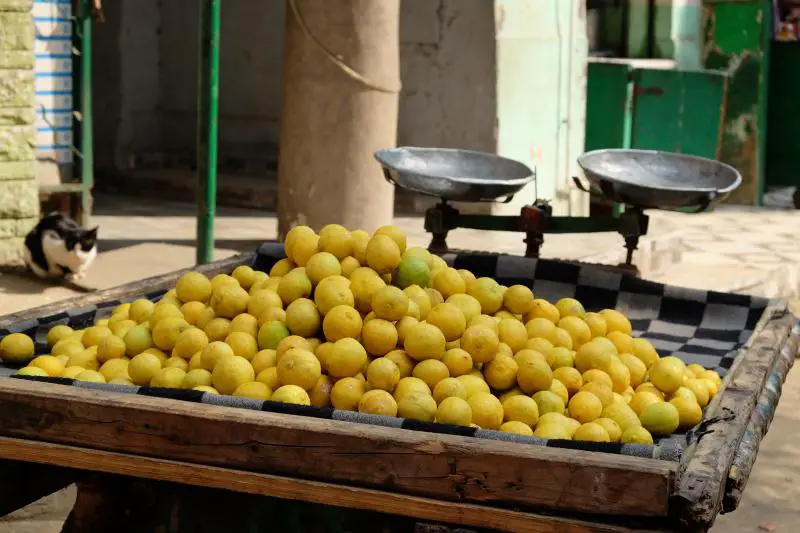 Fruit vegetables vegetarian market egypt