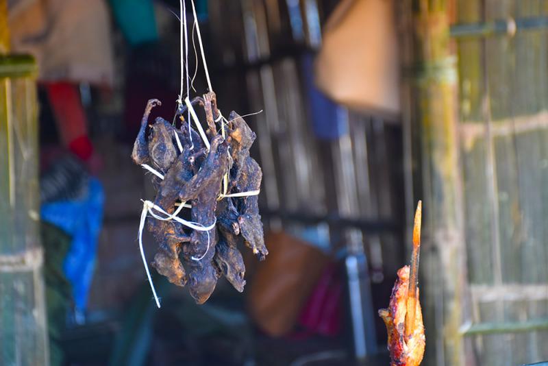 Roasted rats in India strange food around the world