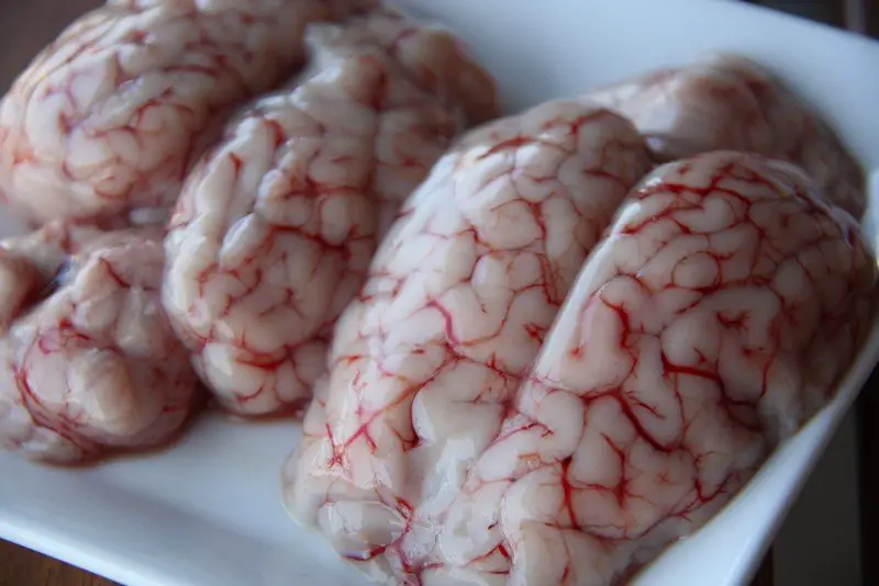 eatin Brain strange unusual odd disgusting food around the world