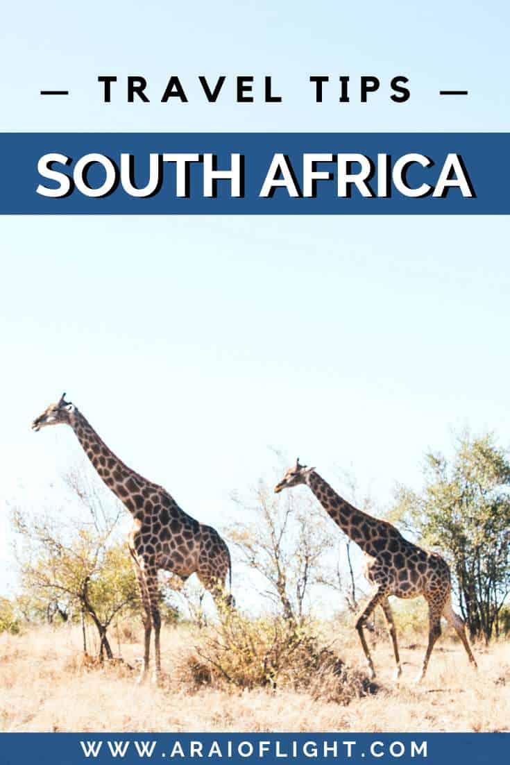 30+ South Africa Travel Tips for Your First Trip _ Places to visit_ Africa Travel Guide
