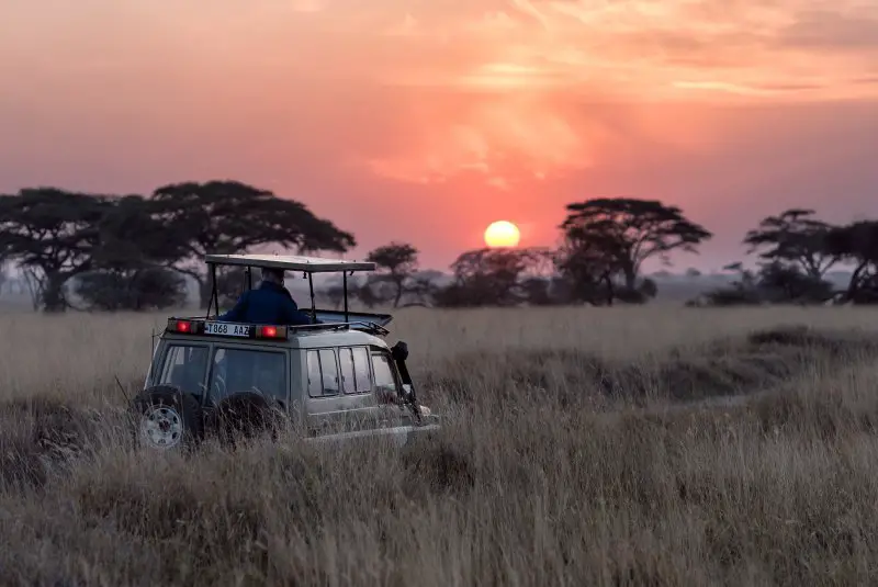 African sunset Tanzania Serengeti safari