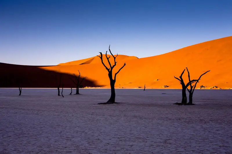 Sunset in Africa Namibia sand dunes desert