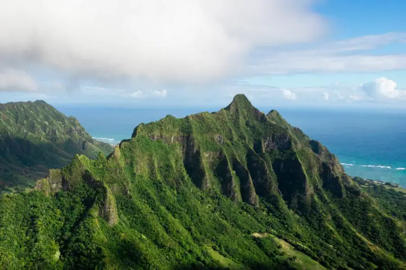 Words in Hawaiian phrases