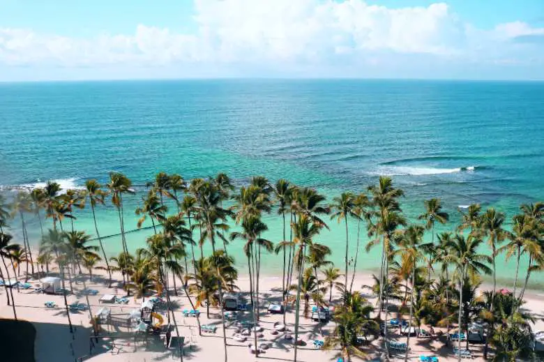 Palm trees cheap tropical island vacation holiday