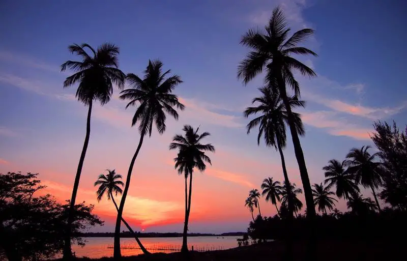 Common Hawaiian words in Hawaiian