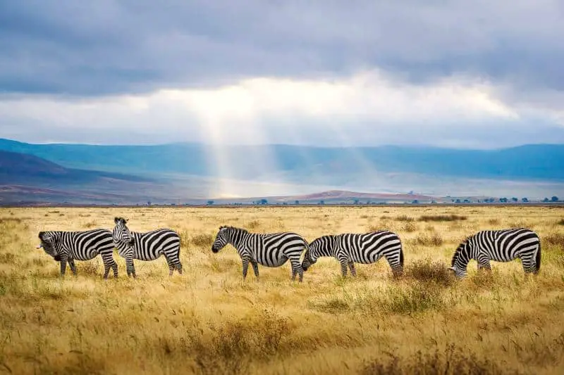 Beautiful Places in Africa Ngorongoro Crater Tanzania