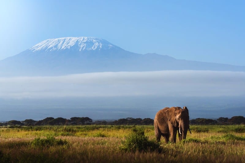Beautiful Mount Kilimanjaro Places in Africa