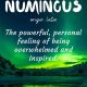 Beautiful Travel word Numinous Latin language