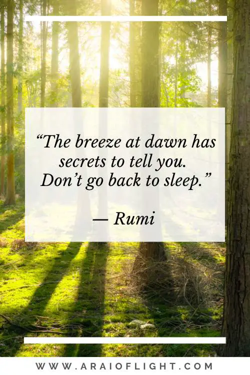 Rumi quotes on sunrise dawn