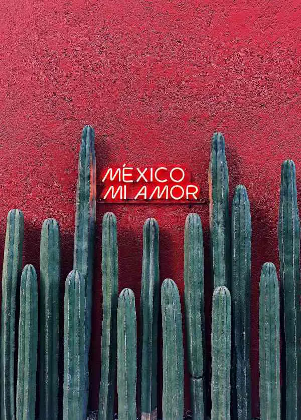 Mi Amor Love Mexico Proverbs
