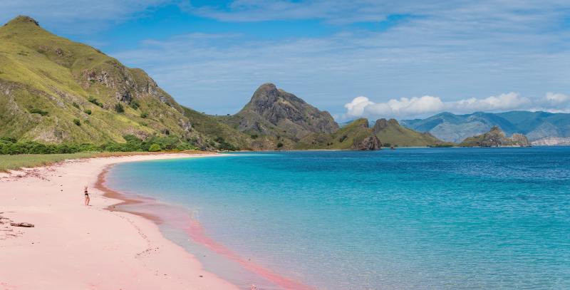 Pantai Merah Pink Beach — Komodo Island, Indonesia