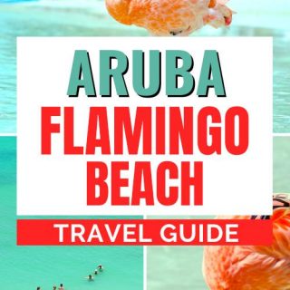 Vacation in Aruba Flamingo Beach Renaissance Island Guide