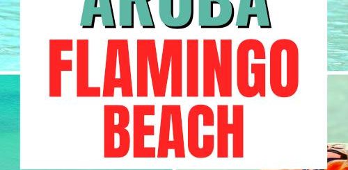 Vacation in Aruba Flamingo Beach Renaissance Island Guide