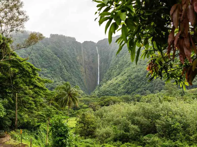 Beautiful Hawaiian words