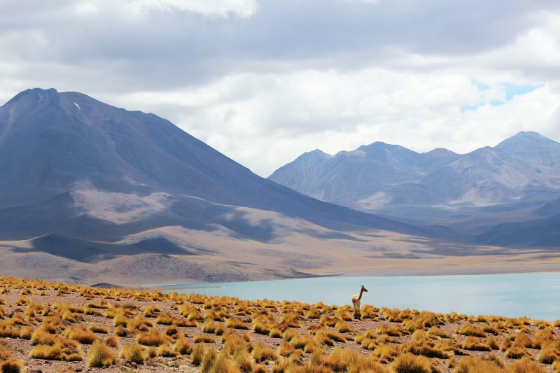 Chile Landscape Safest country in South America 2021