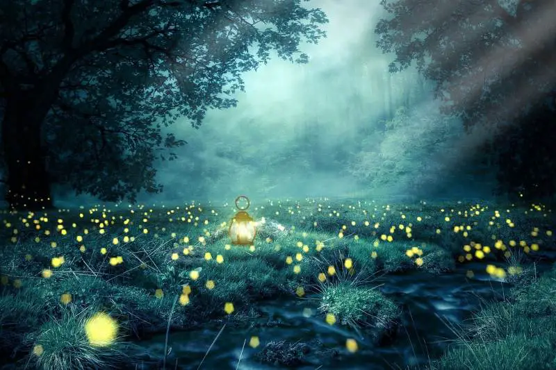 100 Ways To Say LIGHT In Different Languages Of The World A RAI OF LIGHT