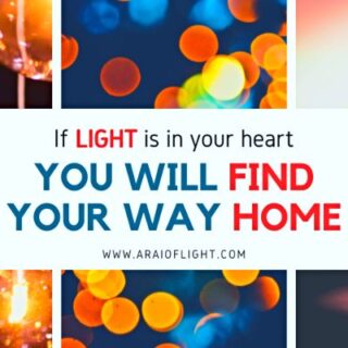 Into the Light Quotes about Light and Darkness