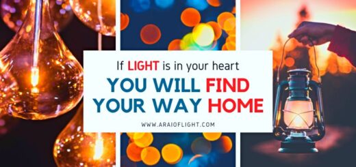 Into the Light Quotes about Light and Darkness