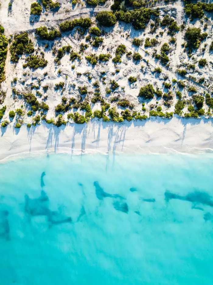 Turks & Caicos best islands for families in Caribbean