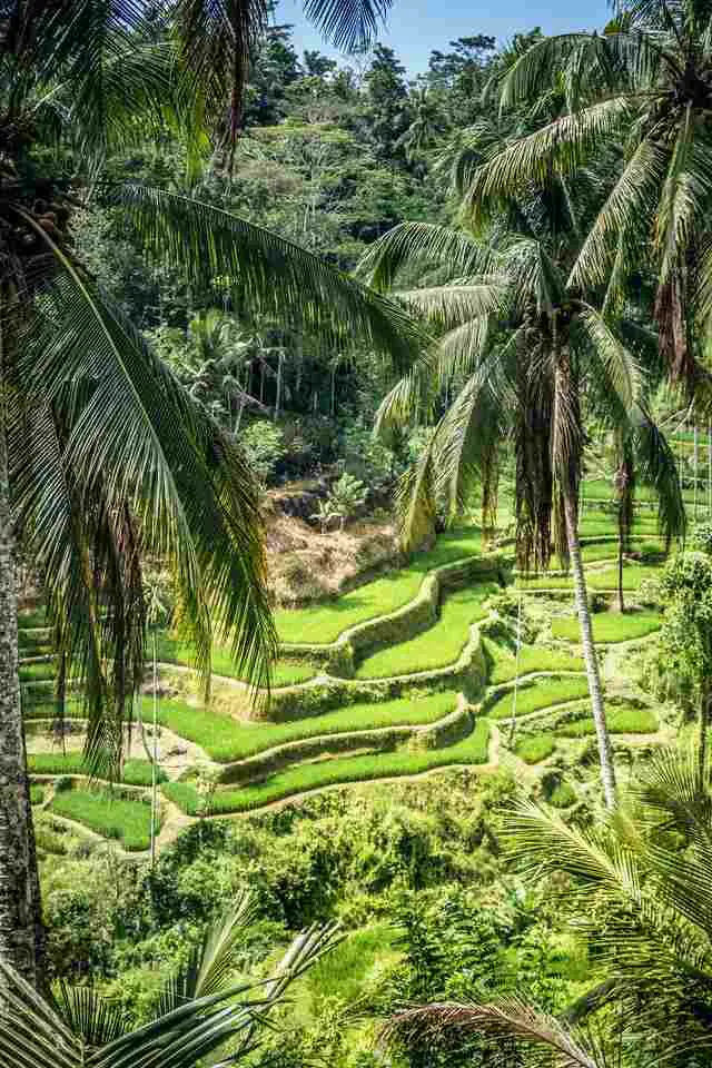 bali best island for kids
