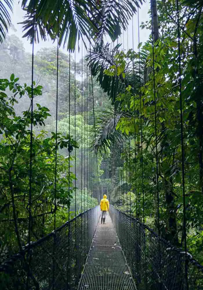 biodiversity rainforests costa rica living