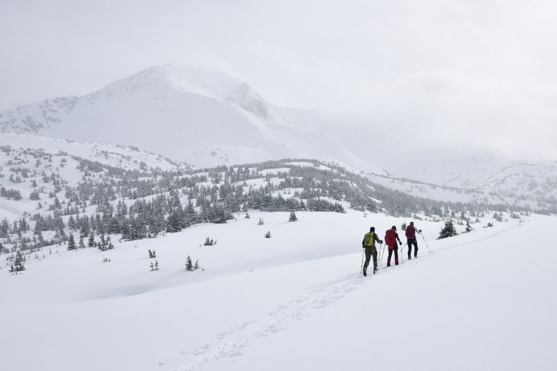 Adventure in Alaska journey