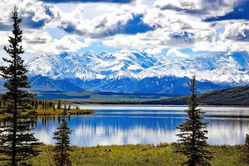 denali national park visiting Alaska traveling blog guide