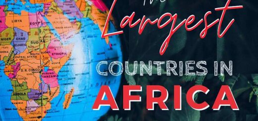 largest country in Africa large countries