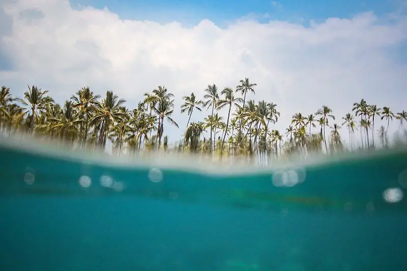 Aruba Affordable Island Getaways in the Caribbean