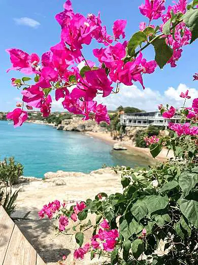 Cliff Jumping Point in Playa Forti Curacao activities